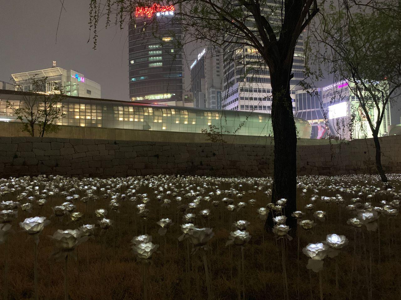 2025 Dongdaemun Night Market Visit! - Enjoy all the attractions from lively DDP night market!